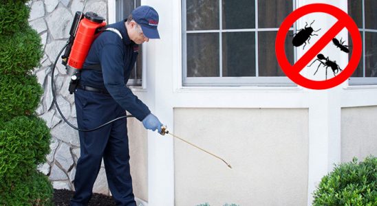 Arıcak Hamam Böceği İlaçlama böcek ilaçlama ve haşere kontrolü — ilaclama-tr.com